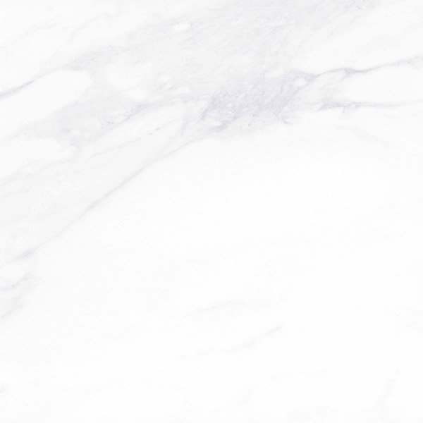 Керамогранит и плитка Payer Elegant MR G281 60*60_9 на сайте OboiVkus.by