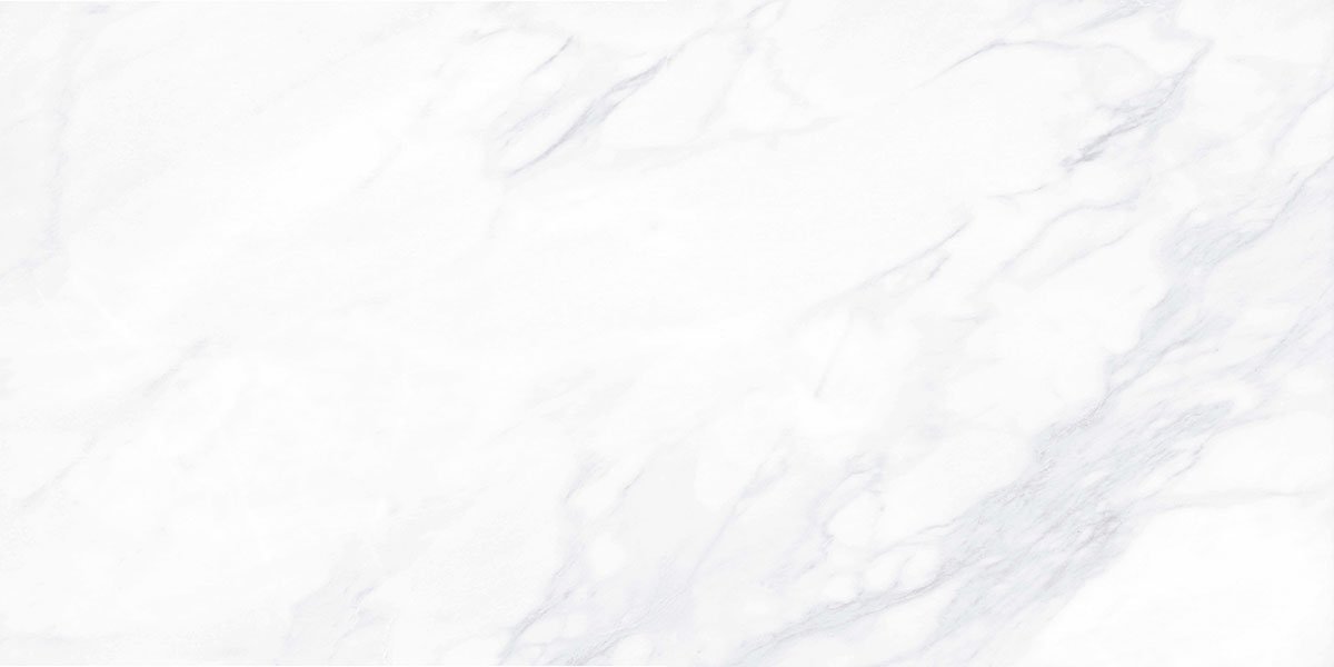 Керамогранит и плитка Payer Elegant MR G281 60*120_5 на сайте OboiVkus.by