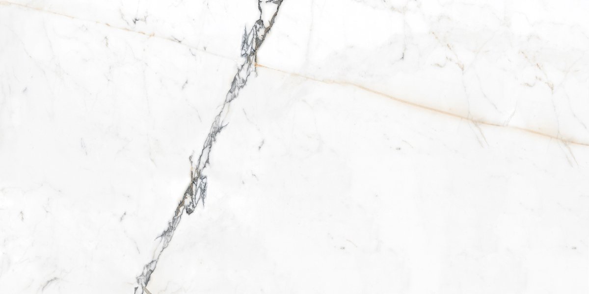 Керамогранит и плитка Pallisandro Oro SR 60*120_1 на сайте OboiVkus.by