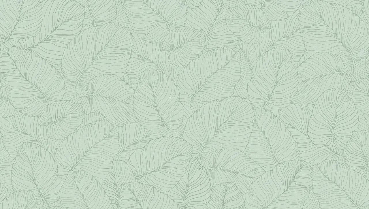 Обои 54464-9 на сайте OboiVkus.by