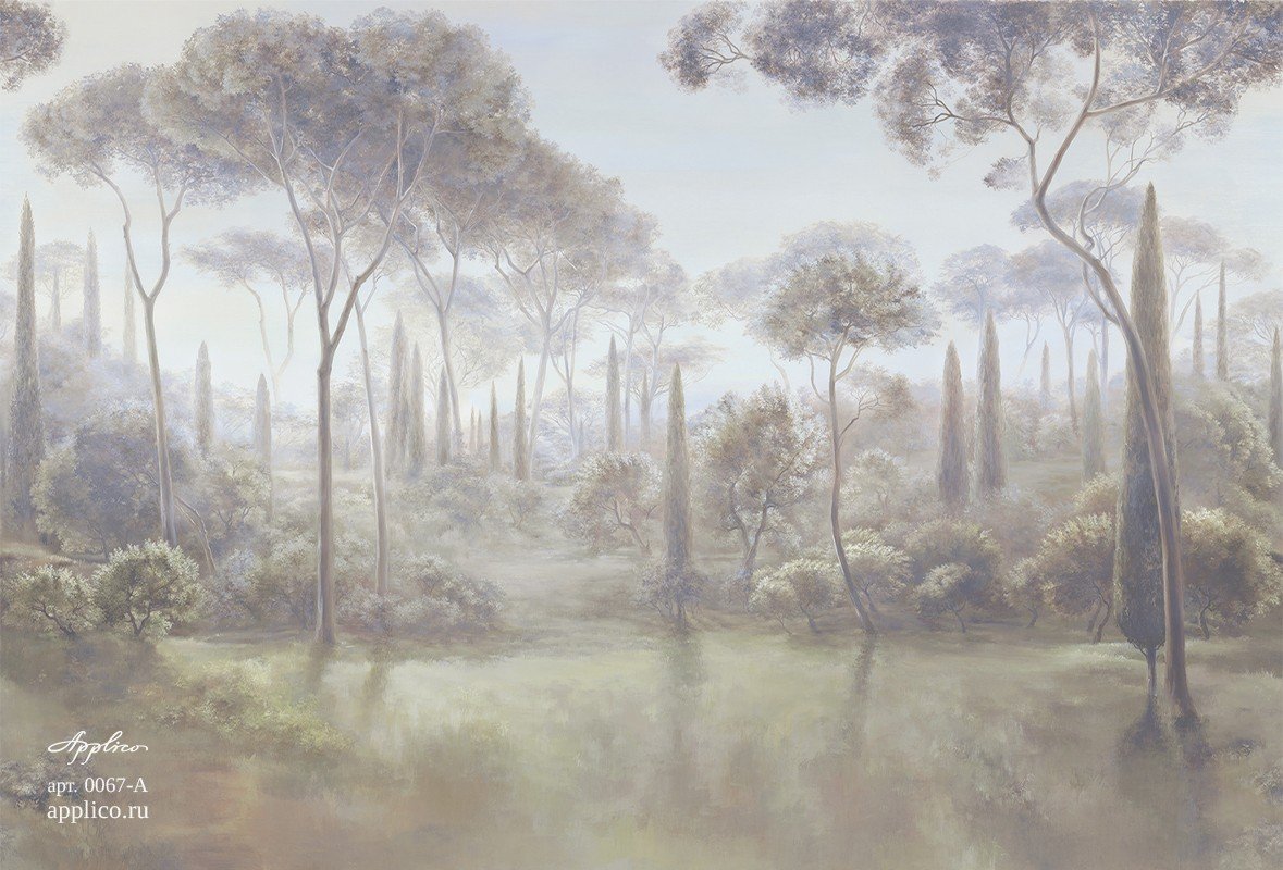 Кипарисы OP 0067-A