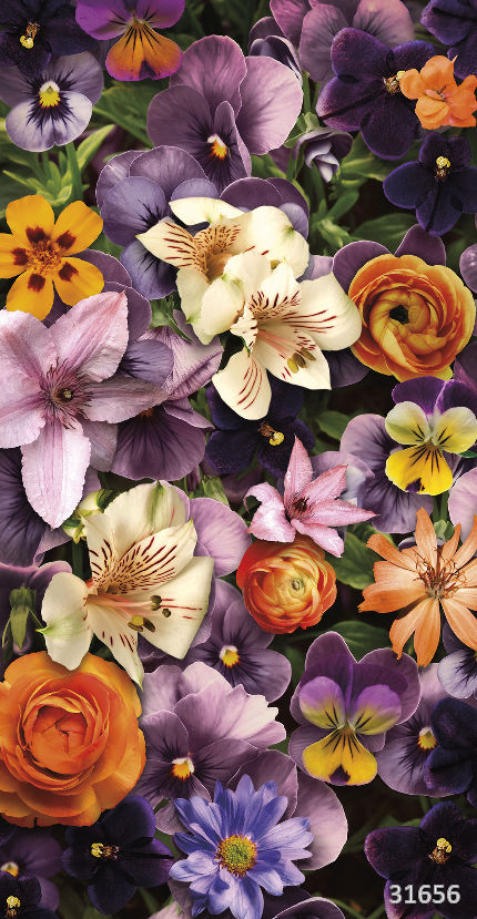 31657 (Flower Dreams)