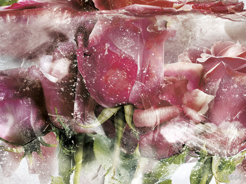 31664 (Flower Dreams)