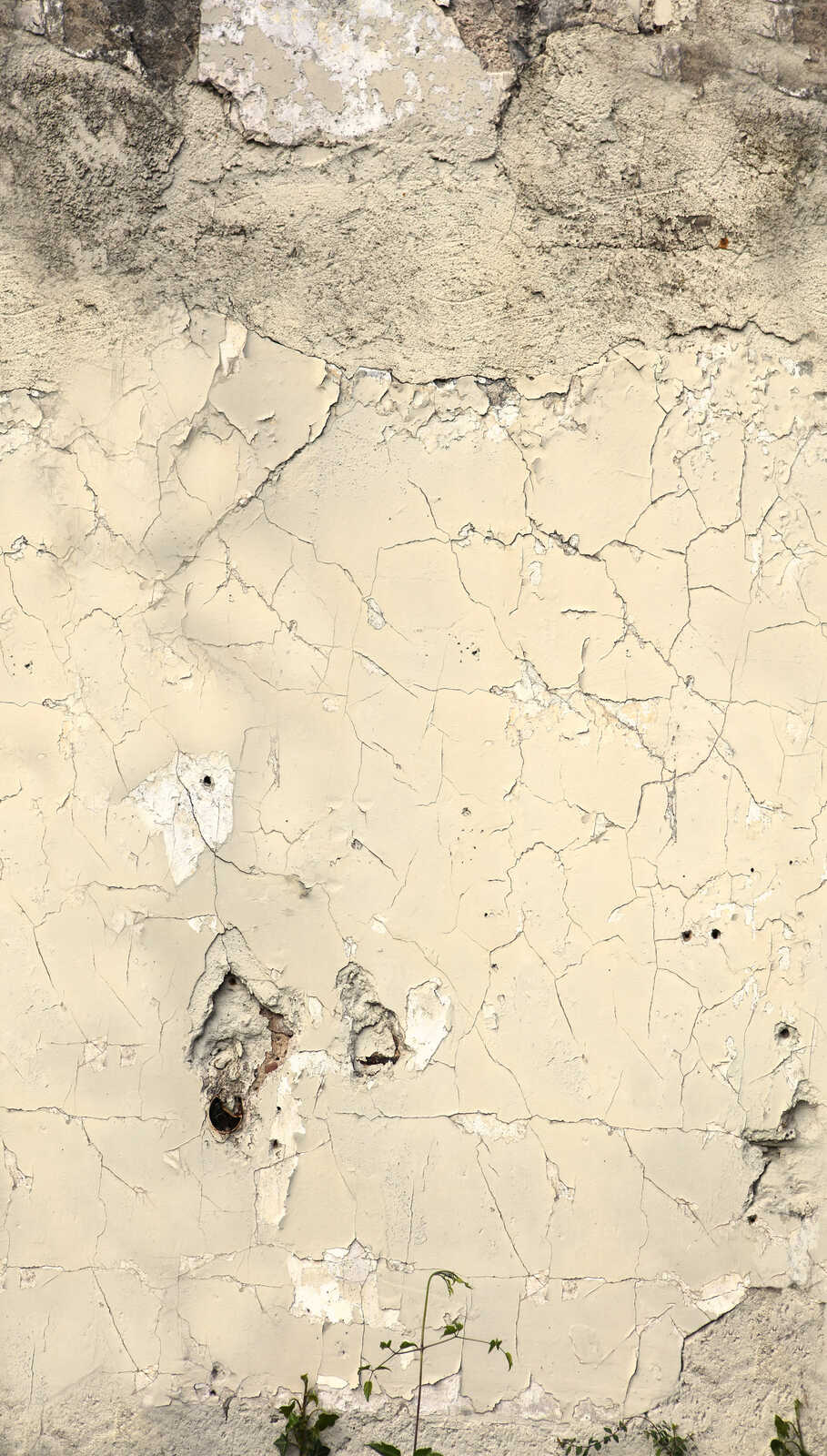 792266 (The Wall 4)