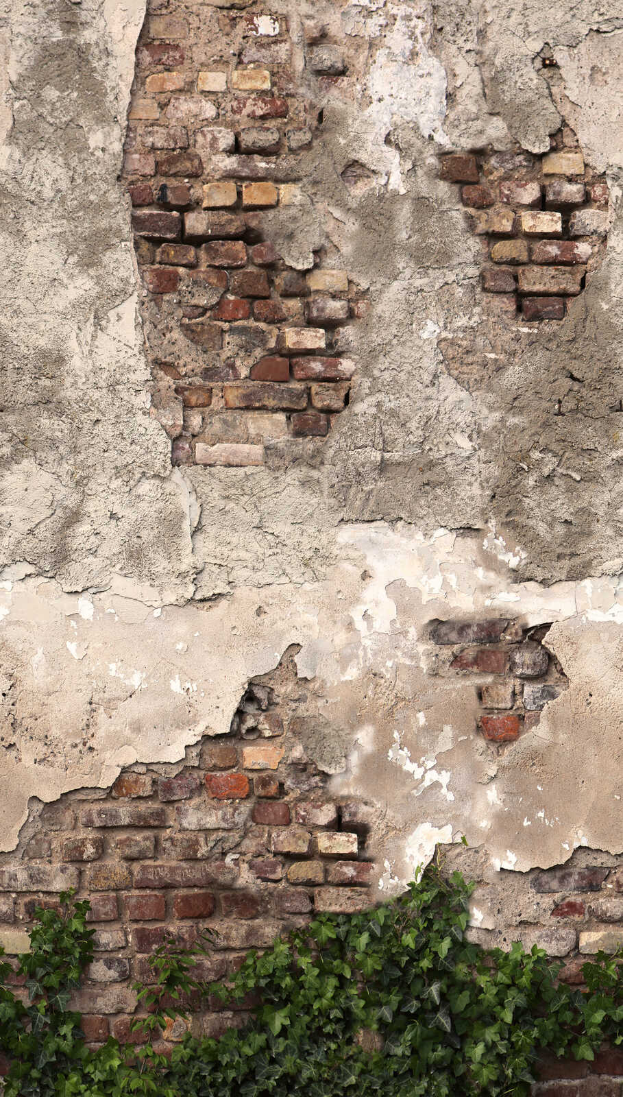 792267 (The Wall 4)
