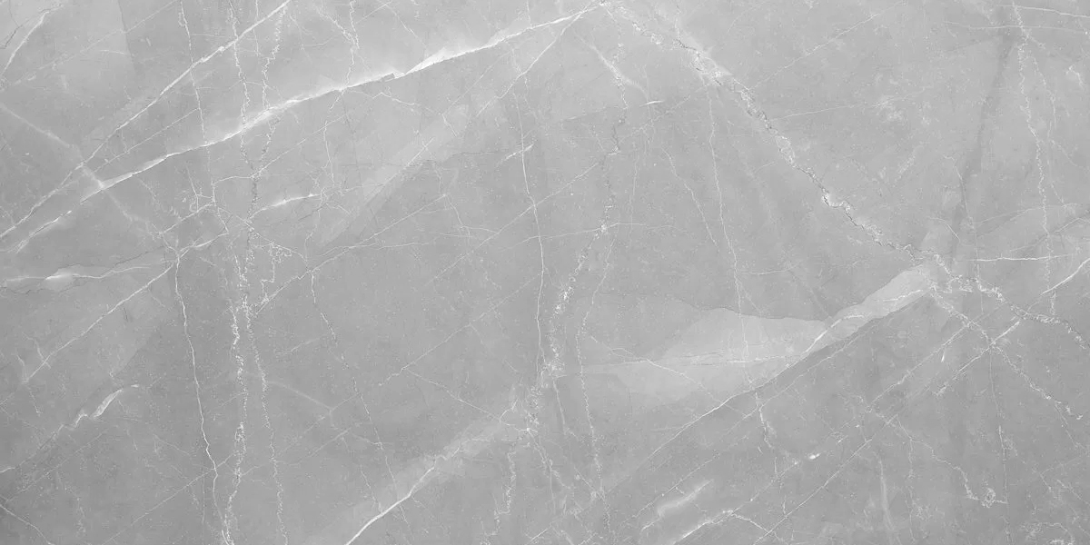 AB1018G Armani Gris gloss 60*60