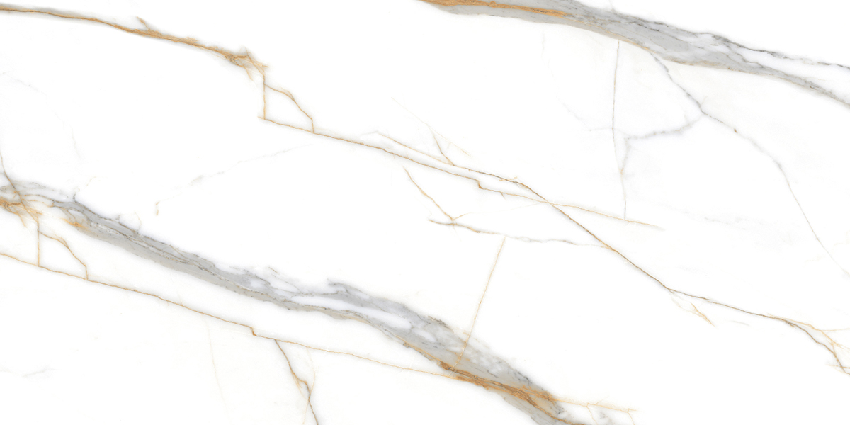 AB1159G Roma Grigio 60*120